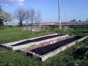 raised beds