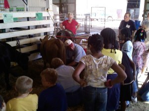 Brian's computer download 7.8.09 155