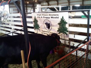 Brian's computer download 7.8.09 157