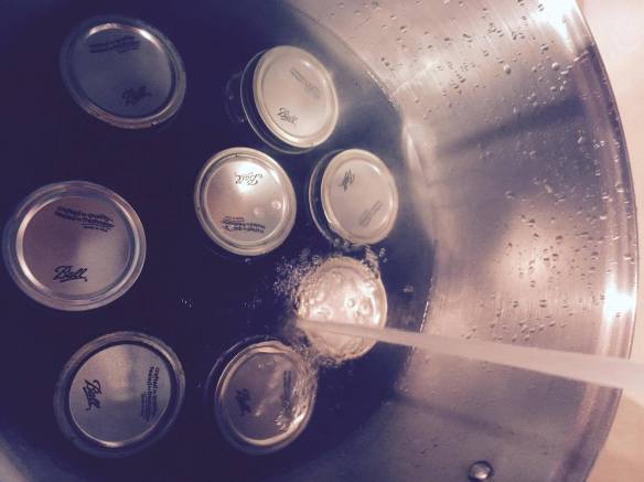 13128922_1015337331836801_1578800990_o